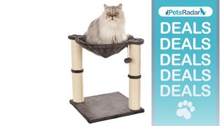 Amazon Basics Cat Tower