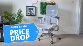 Sihoo Doro S300 chair shown in home office