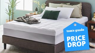 The Sleep Innovations Mattress Topper with a deals badge 