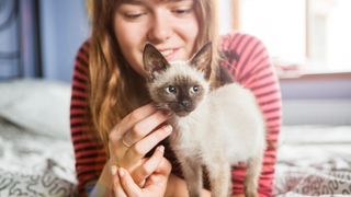 Woman lying down behind a kitten in her bedroom