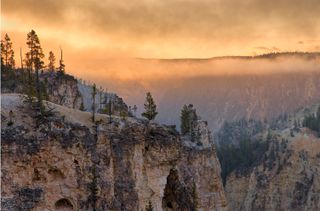 Photograph showing the Grand Canyon of the Yellowstone National Park, by wildlife photographer Charles Glatzer