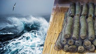 We see two images. At left we see a bird flying over a crashing wave. At right, we see a pile of old coins that were found in Japan.