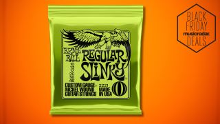 A pack of Ernie Ball Regular Slinky guitar strings