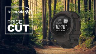 Garmin Instinct 2 on woody background