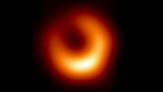 a fuzzy orange donut on a black background