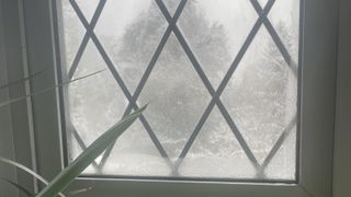 Condensation on a window with a snowy backdrop