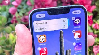 iOS 18 public beta home screen customization controls