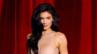 Kylie Jenner in a sheer fashion look with her hair down and swooped around her should Academy Museum Gala 2024.