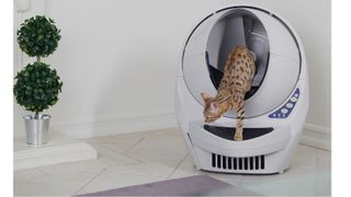 Cat exiting one of the best automatic cat litter boxes