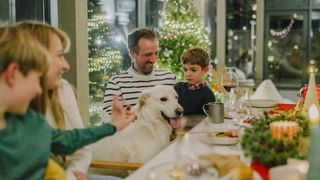 Family with their dog sat around Christmas dinner table