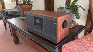 The Revo SuperConnect Stereo on a tabletop next to plants