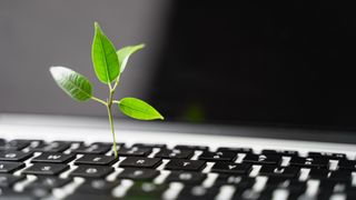 A green shoot appearing out of a laptop keyboard to symbolise carbon footprint and sustainability