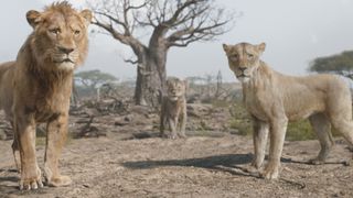 (L-R) Mufasa (voiced by Aaron Pierre), Taka (voiced by Kelvin Harrison Jr.) and Sarabi (voiced by Tiffany Boone) in Disney’s live-action Mufasa: The Lion King