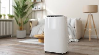 white dehumidifier in living room with wooden floor, cream floor lamp and large plant in white pot