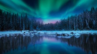 Northern lights over snowy trees reflected in a lake