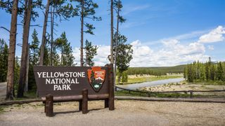 yellowstone national park