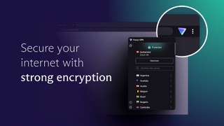 Proton VPN browser extension graphic