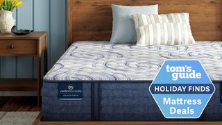 Serta Perfect Sleeper Pro mattress