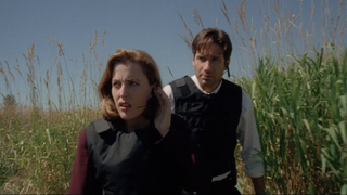 Gillian Anderson and David Duchovny in the &quot;Home&quot; episode of The X-Files