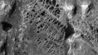 A black and white satellite image of spiderweb-like surface features on Mars