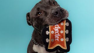 Shecter Dog Toys: for over 20 years the Californian guitar brand has worked with animal shelters and raised funds to support canine rescue and adoption services.