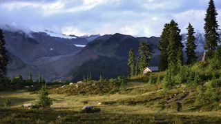 wilderness area of rocky mountains british columbia