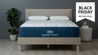 A Bear Elite Hybrid mattress on a wooden bedframe in a grey bedroom