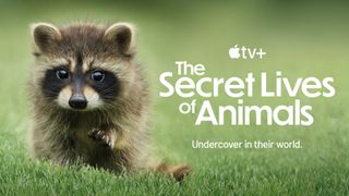 The Secret Lives of Animals is an Apple TV Plus nature series.