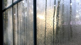 Dark framed window with condensation on panes