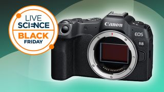 Canon EOS R8 on a green background with a black friday logo