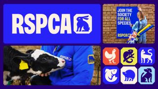 RSPCA new branding