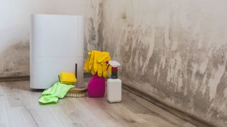 Black mould in the corner of room wall, dehumidifier and spray bottle with mildew removal products. Preparation for mould removal.