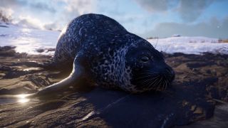 Seal