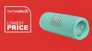 The JBL Flip 6 next to the words &#039;lowest price&#039; on a red background