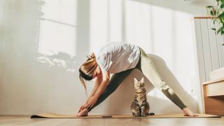 Woman stretching on a yoga mat with a cat underneath her