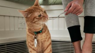 Tile Mate hung on a cat collar