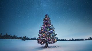 Decorated Christmas tree in the snow, below the star-studded sky.