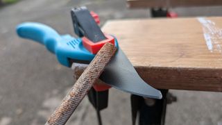 Filing the blade of a pruner, which is clamped to a work bench