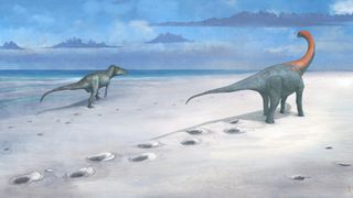 An artist reconstruction of Dewars Farm Quarry during the Jurassic period. Megalosaurus walks near Cetiosaurus.