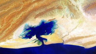 A satellite image of a lagoon along a coastline