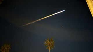 A bright streak tears across the night sky as a burning fireball and tail. A palm tree stands from the bottom center.