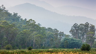 Mount Kosciuszko