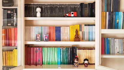 Color-coordinated organized home-office shelves