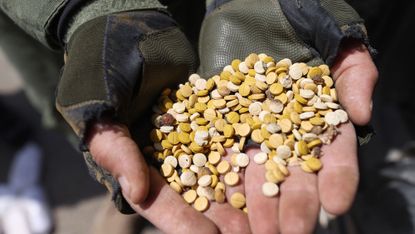 Dozens of pills held in the hands of a Syrian rebel soldier