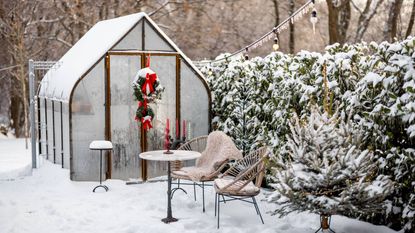 Greenhouse in a snowy December garden