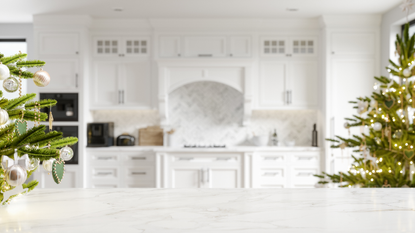 A modern Christmas kitchen with fir trees and fairy lights