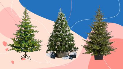 Three of the best artificial Christmas trees as reviewed by Ideal Home on a pink and blue background