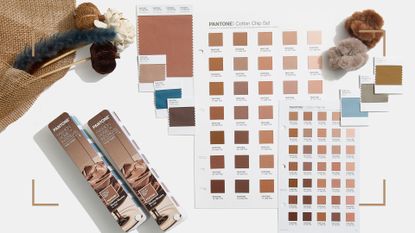 Colour cards showing the Pantone Colour of the Year 2025 Mocha Mousse