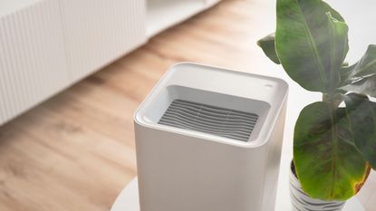 Dehumidifier/humidifier on side table next to plant