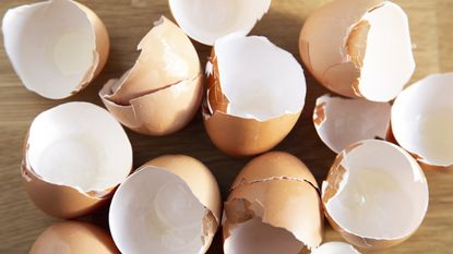 Eggshells on a table